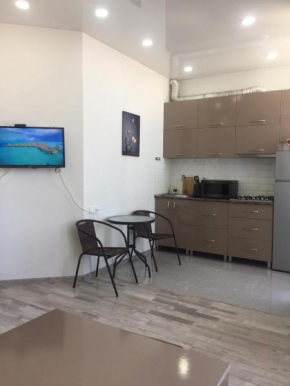 The New Apartament in the Center
